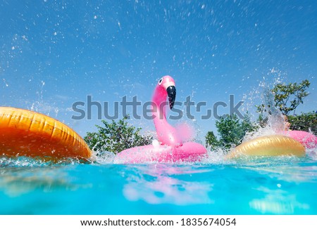 Funny action photo in the outdoor swimming pool with splashes of inflatable flamingo and doughnuts buoys rings