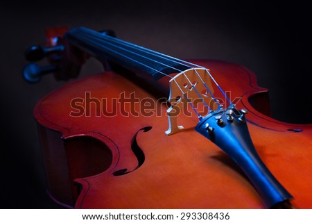 Close view of violoncello in vertical position on the black background