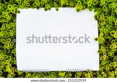 Conflict nature wallpaper pattern and white frame./ Conflict nature wallpaper.