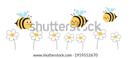 Daisy flowers and bee cartoons isolated on white background vector illustration.
