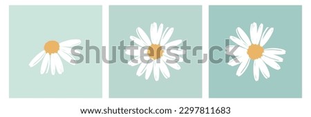 Similar – Foto Bild Weiße Gänseblümchenblume, Blumenkunstdesign, gelber Naturhintergrund.