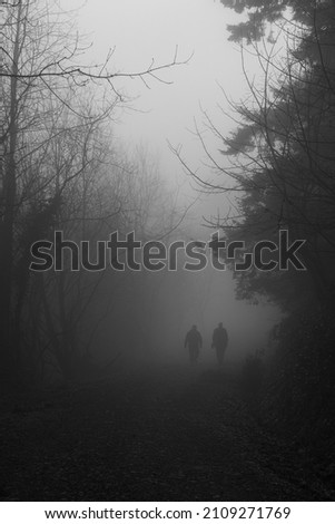 Similar – Image, Stock Photo Silhouettes pair walking through tunnel towards the sun