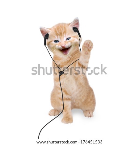 Young cat is listening to music with headphones / headset on white background