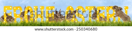 Easter Bunny between wood letters, wish Happy Easter
