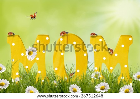 Mother\'s Day, Mom wooden letters are in flower meadow with ladybug
