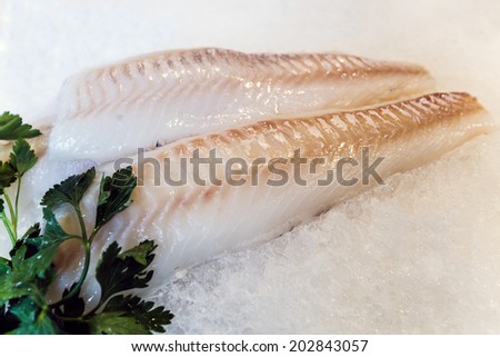Fresh chilled out fillets of white fish on the counter of ice