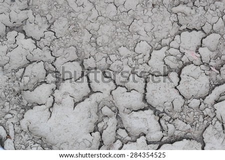 dry mud on  ground