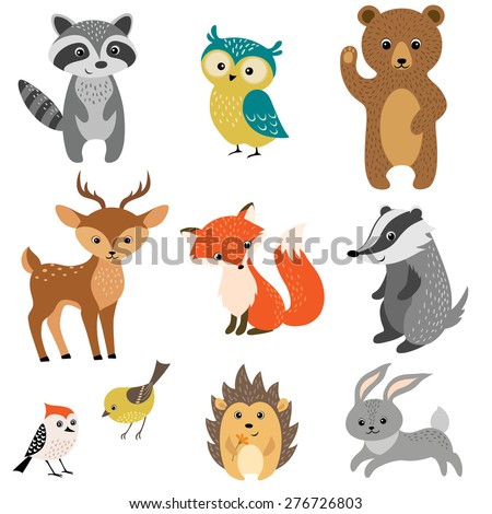 Set of cute woodland animals isolated on white background.