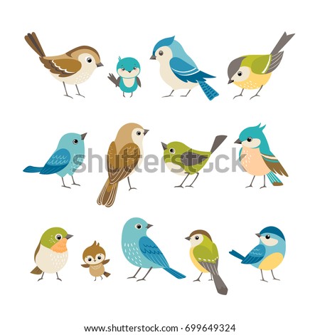 Set of cute little colorful birds isolated on white background