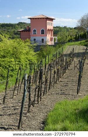 OPRTALJ, CROATIA - APRIL 19, 2015: Croatian Istria peninsula is an ideal vacation spot. With a mild mediterranean climate, many locals enjoy making their own quality vines.