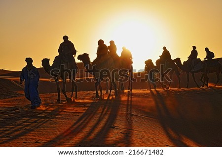 Desert of Morocco - Dec, 30: Camel caravan going through the desert at sunset on December, 30, 2009. Morocco