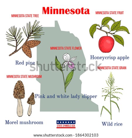 Minnesota. Set of USA official state symbols. Vector hand drawn illustration