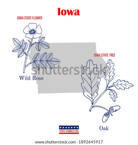 Iowa. Set of USA official state symbols. Vector hand drawn illustration