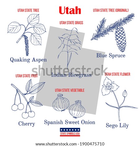 Utah. Set of USA official state symbols. Vector hand drawn illustration