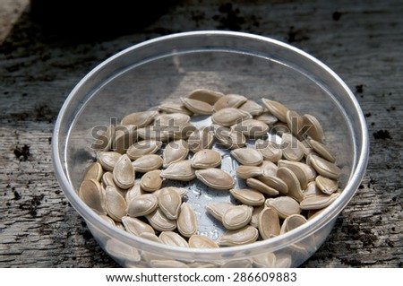 pumpkin seeds in plastic container on garden table