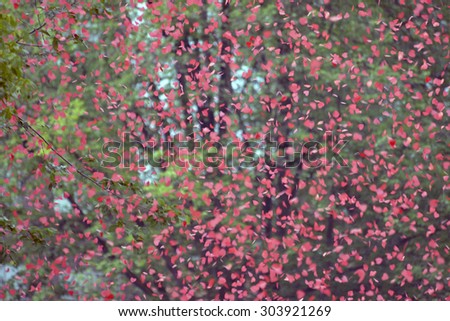 Amsterdam, Netherlands - August 1, 2015: confetti at the annual event for the protection of human rights and civil equality - Gay Pride Parade on the Prinsengracht, Amsterdam