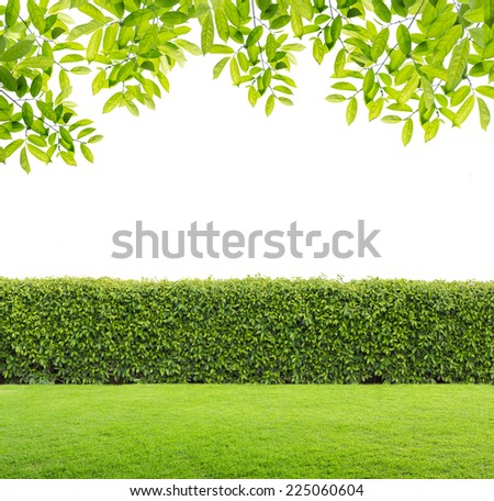 Similar – Image, Stock Photo corner with hedge Corner