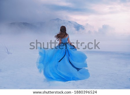 Image, Stock Photo Winter Run Silhouette Fog