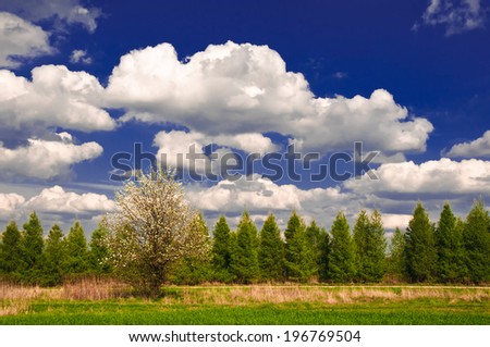 The beautiful country landscape with white clouds on the sky