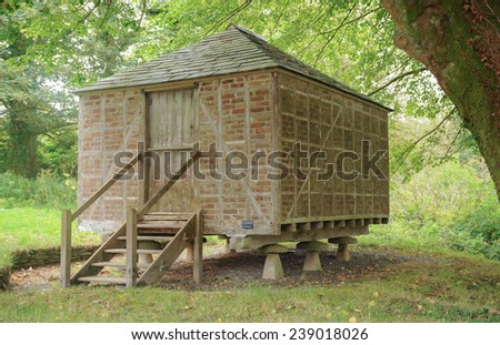 A Traditional Grain Store on Stone Mushroom Feet in the Grounds of a Garden, near Barnstaple, in the County of Devon, England, UK