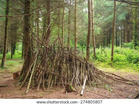 Shelters made from Branches in Northdown Plantation in Eggesford Forest, Devon, England, UK