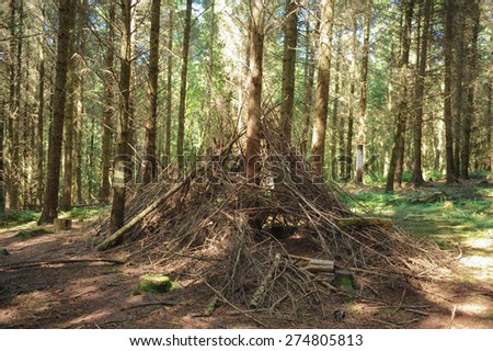 Shelters made from Branches in Northdown Plantation in Eggesford Forest, Devon, England, UK