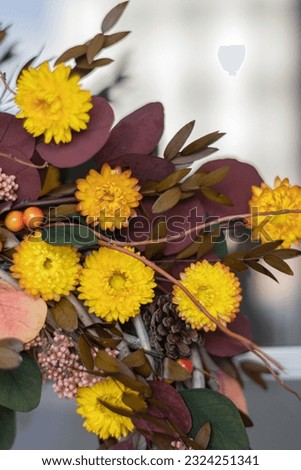 Similar – Image, Stock Photo Beautiful autumn wreath or circle frame made with pretty fall leaves, chestnuts, nuts, acorns and flowers on white background. Top view. Flat lay. Creative layout