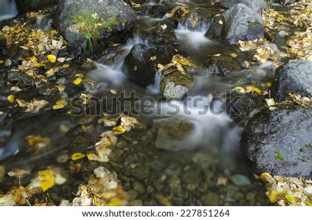Leaves are scattered around by the fast moving water of a small water fall.