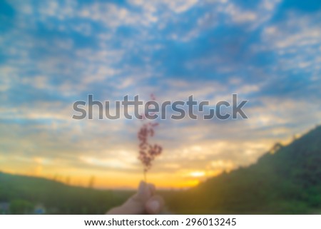 blurred hold flower and colorful sky in background