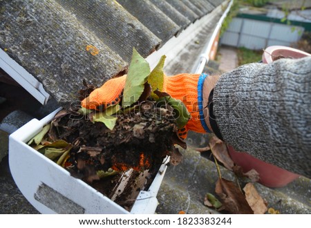A man is cleaning a clogged roof gutter from dirt, debris and fallen leaves to prevent water damage and let rainwater drain properly. 