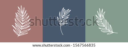 Set of tropical leaves. Outline Palm leaf and Olive Branch In a Modern Minimalist Style. Vector Illustration. For printing on t-shirt, Web Design, beauty Salons, Posters, creating a logo and other