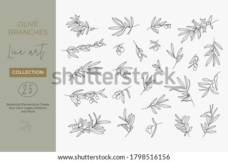 A set of Olive Branches in a Modern Linear Minimal Style. Vector Illustrations of Branches With fruits and Leaves for creating logos, patterns, greeting cards, wedding Invitations