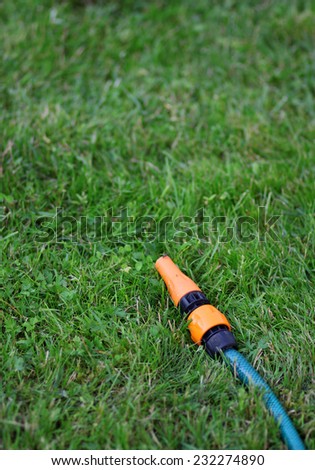 The garden water hose laying on the green grass