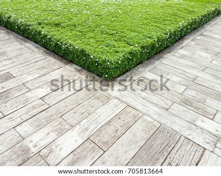 Similar – Image, Stock Photo corner with hedge Corner