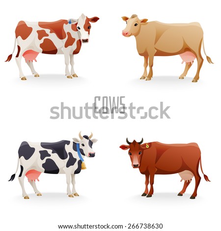 Different Cows Colors Set, Isolated. Vector Illustration - 266738630 ...