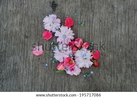 forget-me-not, quince and sakura blossom on an old wooden background