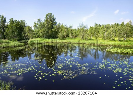 Theatres to the taiga biome 