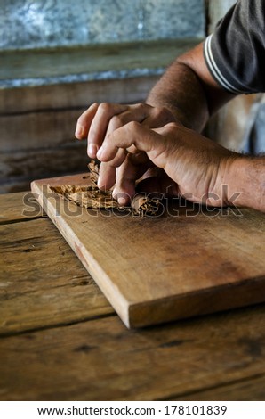 Traditional manufacture of cigars at the cuban tobacco factory, Havana, Cuba