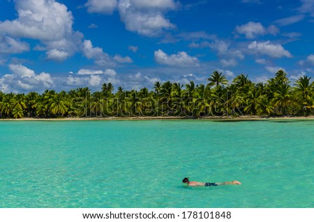 Diving, dive, coast of the Caribbean Islands, Saona, Dominican Republic