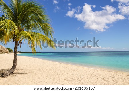 Amazing tropical beach with palm tree  entering the ocean against azur ocean, gold sand and blue sky
