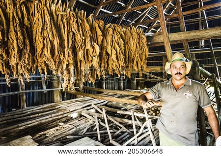 HAVANA, CUBA - DECEMBER 2, 2013: Traditional manufacture of cigars at the cuban tobacco factory, Cuba