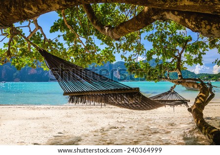 Hammock hanging under exotic tree on beach with white sand below, Phi Phi Island, Phuket area, Thailand