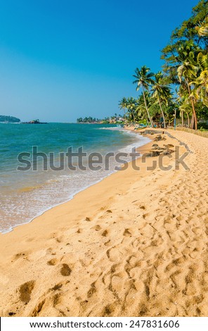Exotic sandy beach full of palm trees