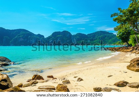 Fabulous exotic beach with white sand and high palm trees