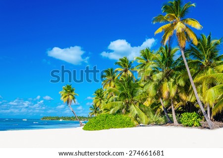 Amazing tropical beach with palm tree entering the ocean against azur ocean, gold sand and blue sky
