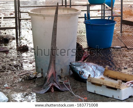 The sword and the head of a swordfish in front of a trash can with other garbage at closing time of fish market in Palermo, Sicily, Italy