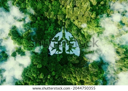 A metaphorical picture of the lungs of planet earth. An icon in the form of a lung-shaped pond in the middle of a wild, pristine and untouched forest. 3d rendering.