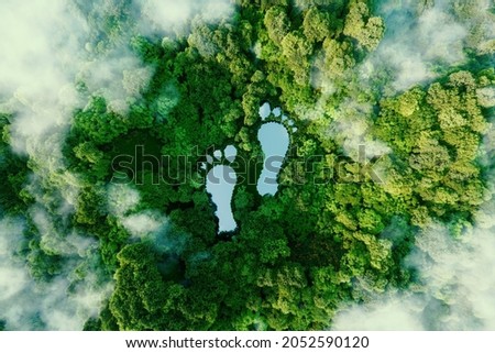 Image, Stock Photo Barefoot in water Water