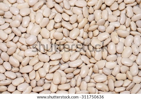 large white beans closeup