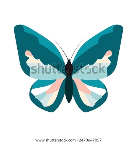 A blue and pink butterfly is perched on a white background.